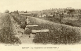 Xertigny - La Faisanderie - Un Sentier d'élevage